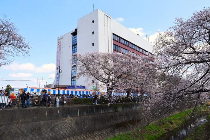 「第16回　三沢川 桜・梨の花まつり」当日の様子