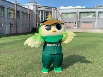 リヴェルン素材