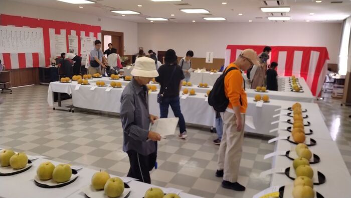 第55回農産物品評会（第一弾）の様子